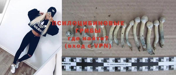 ALPHA PVP Богородск