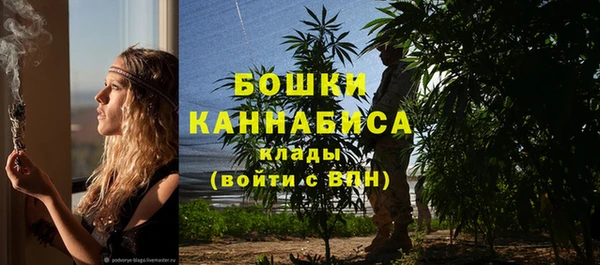 ALPHA PVP Богородск